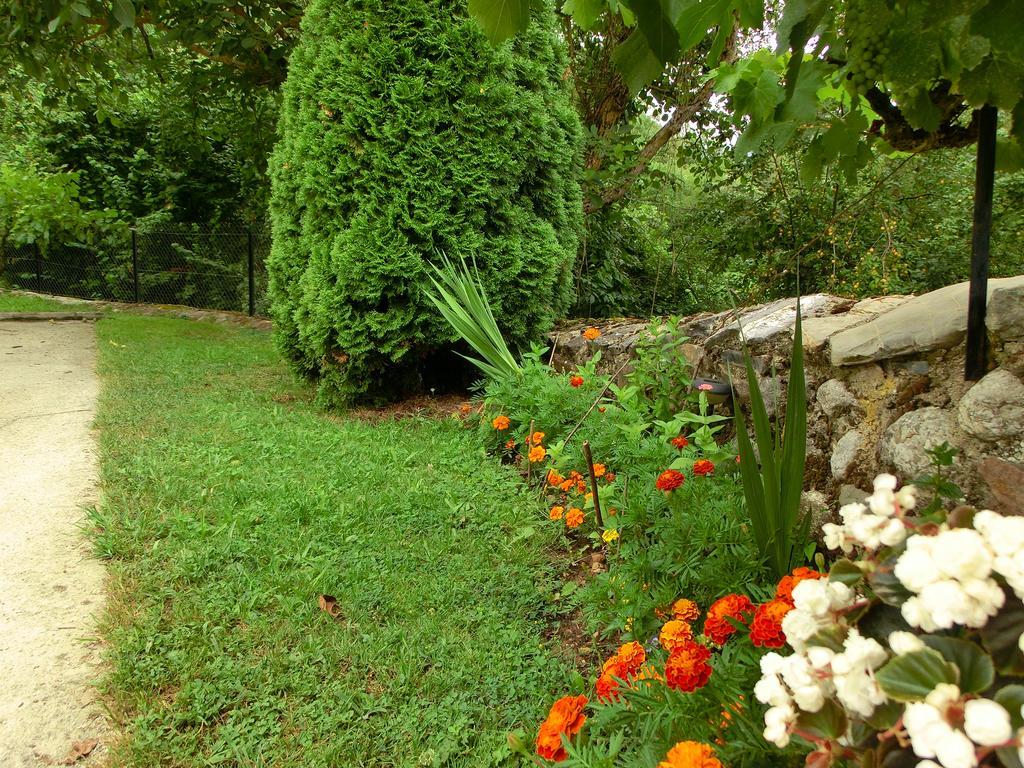 Apartamentos Javier Turieno Dış mekan fotoğraf